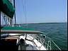 P1013846.JPG